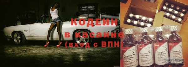 индика Балабаново