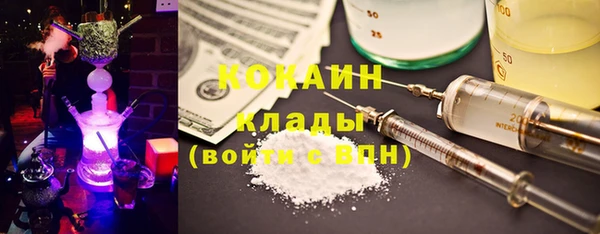 индика Балабаново