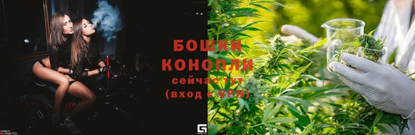 индика Балабаново