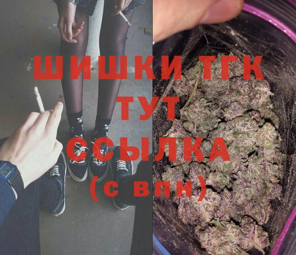 индика Балабаново