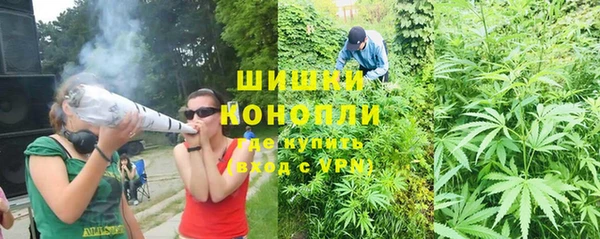 индика Балабаново