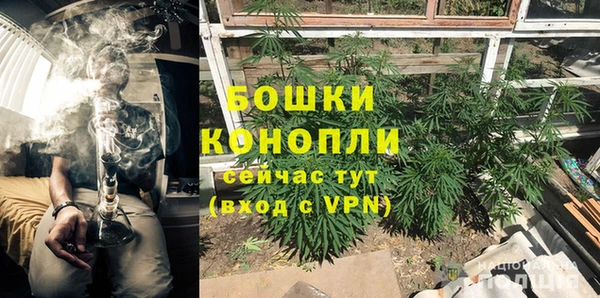 мдпв Семилуки
