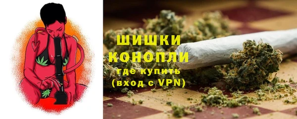 индика Балабаново