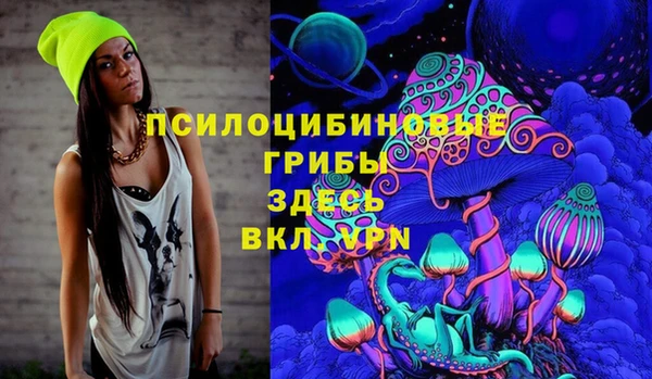 индика Балабаново
